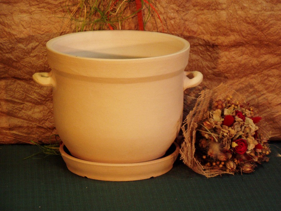 Květináče bucláky - Obrázek 9