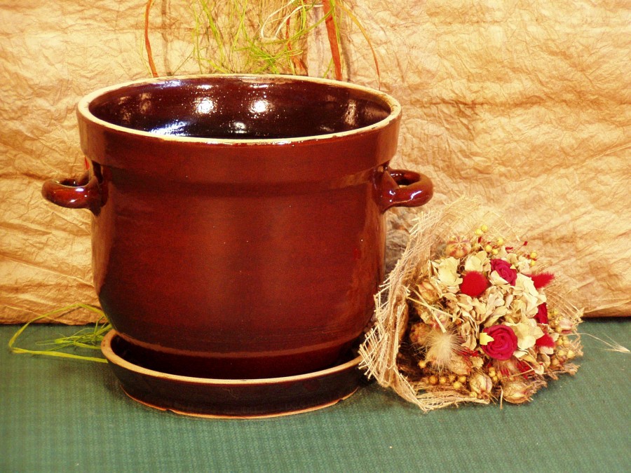 Květináče bucláky - Obrázek 10