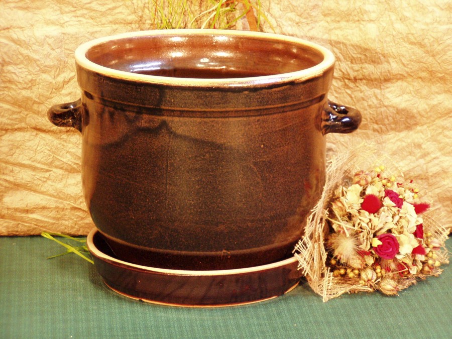 Květináče bucláky - Obrázek 13