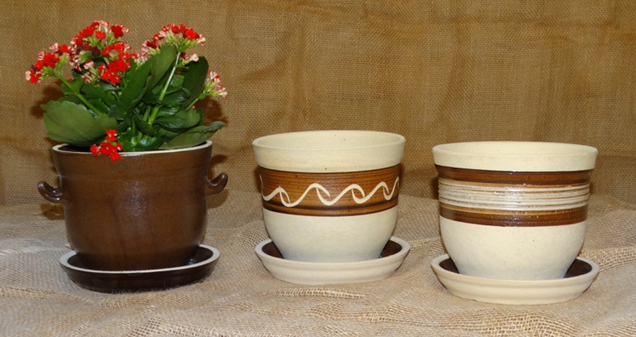 Květináče bucláky - Obrázek 1