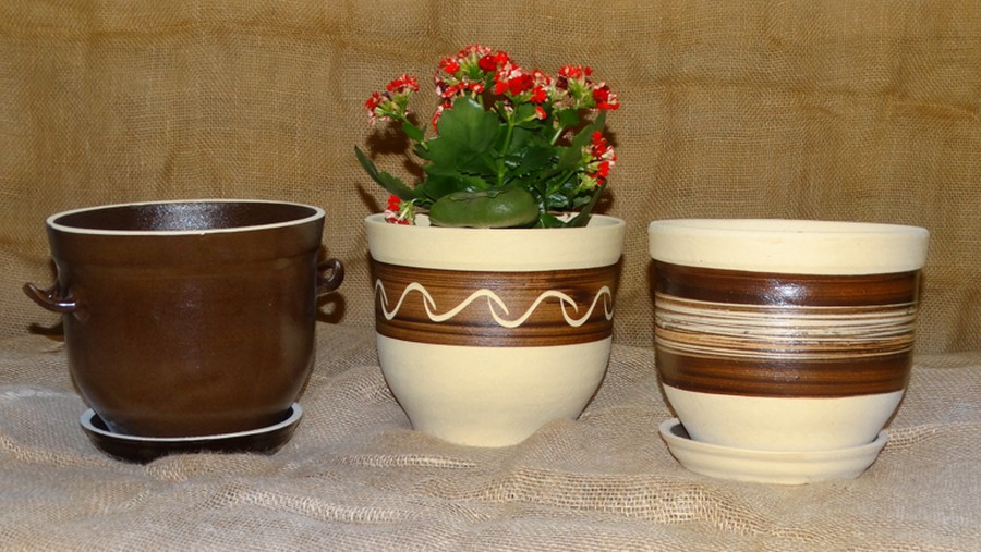 Květináče bucláky - Obrázek 5